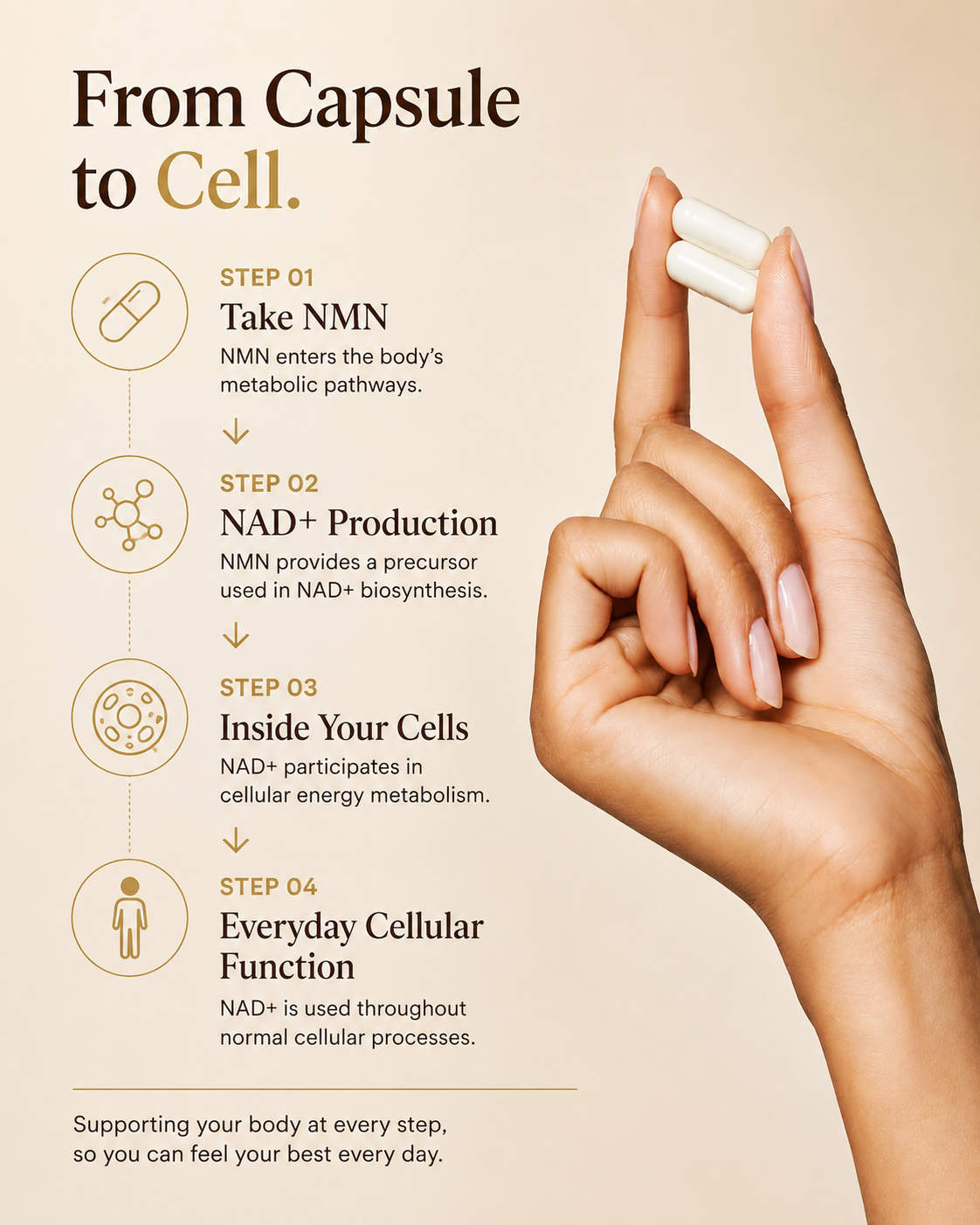 NMN 4-IN-ONE NAD+ SUPPORT