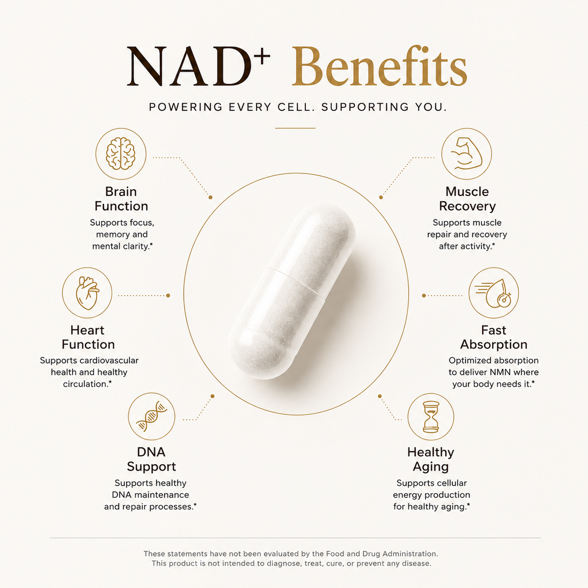 NMN 4-IN-ONE NAD+ SUPPORT