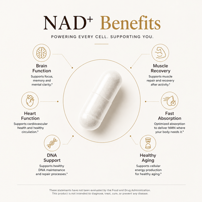 NMN 4-IN-ONE NAD+ SUPPORT
